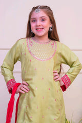 Shanzey Stitched 3 Piece Luxe Raw Silk Edit Formals Collection'2025-SHK-4803-Lime Green