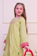 Shanzey Stitched 3 Piece Luxe Raw Silk Edit Formals Collection'2025-SHK-4803-Lime Green