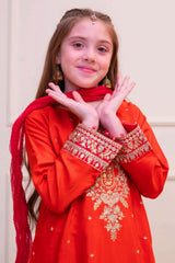 Shanzey Stitched 3 Piece Luxe Raw Silk Edit Formals Collection'2025-SHK-4805-Rust