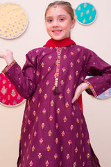 Shanzey Girls Stitched 3 Piece Printed Cambric Pret Collection'2025-SHK-4902