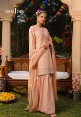 Asim Jofa Essential Pret Drop 8 Ajpb-165 Embroidered Raw Silk 2Pc