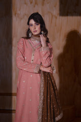 Aayra Stitched Winter Collection'2025-AY1147 - Peach Buds 3Pc