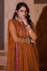 Aayra Stitched Formals Collection'2025-Ay1803-Marigold 3p