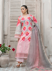 Women Dress