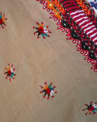 Ayla Studio Embroidered Pashmina Shawl-Zeya