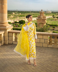 Zainab Chottani Unstitched 3 Piece Eid Luxury Lawn Collection'2023-ZC-08-B