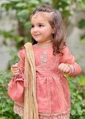 Eid Ki Khushiyan By Modest Stitched 3 Piece Cotton Frock Collection'2025-9025-Pnk
