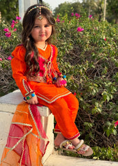 Eid Ka Andaaz By Modest Stitched 3 Piece Formals Collection'2025-9035 Toddler