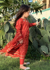 Eid Ki Khushiyan By Modest Stitched 3 Piece Cotton Frock Collection'2025-9220-Brn