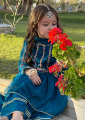 Gulzar By Modest Stitched 3 Piece Formals Collection'2025-9250 Toddlers