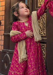 Modest Stitched 3 Piece Festive Edit Suit-Mahroz