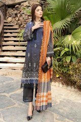 Aafreen by Riaz Arts Unstitched 3 Piece Digital Printed Zari Lawn Collection'2023-AF-13