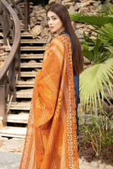 Aafreen by Riaz Arts Unstitched 3 Piece Digital Printed Zari Lawn Collection'2023-AF-13