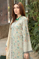 Aafreen by Riaz Arts Unstitched 3 Piece Digital Printed Zari Lawn Collection'2023-AF-14