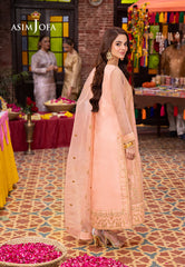 Asim Jofa Pyaar Diyan Gallan Pret Ajemb-20 Embroidered Organza Stitched 3 Pcs