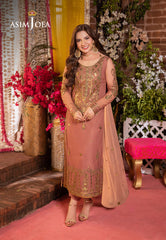Asim Jofa Jag Mag Pret Ajmjb-25 Embroidered Net Stitched 3 Pcs