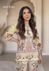 Asim Jofa Stitched 2 Piece Basic Printed Lawn Pret Suit-AJPB-249