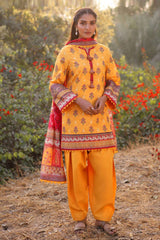Prints By Asim Jofa Unstitched 3 Piece Lawn Vol-01 Collection-AJUUB-06