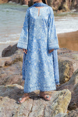 Summer Together By Afrozeh Unstitched 3 Piece Lawnkari Vol-02 Suit-AL-04-Zale