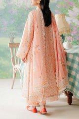 Afrozeh The Floral Charm Unstitched 3 Piece Lawn Collection'2024-AL-10-Buttercup
