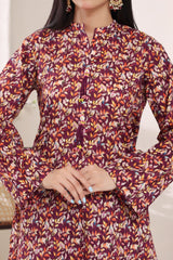 Aizal Stitched 2 Piece Cambric Co Ords Suit-AZL-707