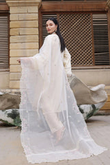 Dressline Semi Stitched 3 Pcs Emb Viscose Jacquard Collection