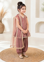 Modest Stitched 3 Piece Festive Formals Vol-02 Suit-11300-TPnk