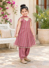 Modest Stitched 3 Piece Festive Formals Vol-02 Suit-11300-Pnk