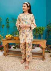 Modest Stitched 2 Piece Spring Summer Collection'2025-Soft Bloom