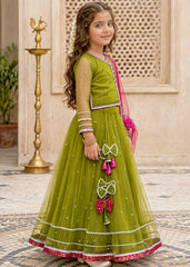 Modest Girls 3 Piece Green Net Lehenga-11440-Grn