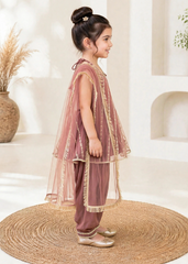 Modest Stitched 3 Piece Festive Formals Vol-02 Suit-11300-TPnk