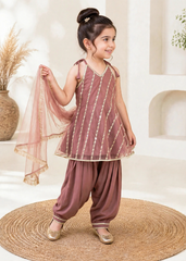 Modest Stitched 3 Piece Festive Formals Vol-02 Suit-11300-TPnk