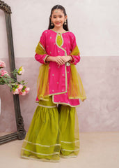 Modest Stitched 3 Piece Festive Edit Vol-02 Collection'2025-9655-HPnk