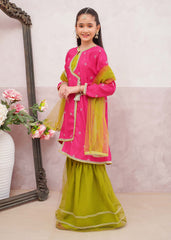 Modest Stitched 3 Piece Festive Edit Vol-02 Collection'2025-9655-HPnk