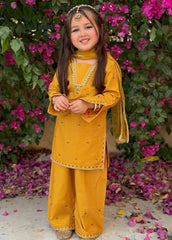 Modest Stitched 3 Piece Embroidered Lawn Suit-11100-Ylw