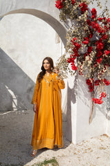 Manahils Stitched Formals Kurti 106