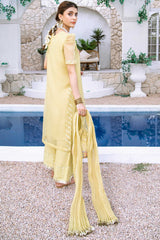 Aayra Stitched Formals Collection'2025-AY357 - Voila Garden 3Pc