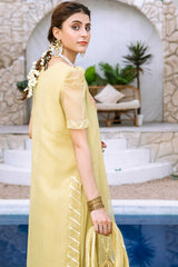 Aayra Stitched Formals Collection'2025-AY357 - Voila Garden 3Pc