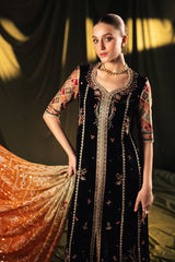 Qalamkar Unstitched 3 Piece Velvet Edit Suit-BK-06-Zola