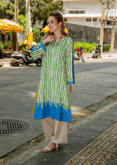 Meerak Stitched 1 Piece Summer Collection'2026-PRINTS 18