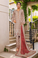 Bin Saeed Stitched 3 Piece Exc Chikankari Lawn Suit-SM-2138-Skin