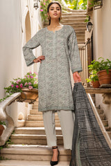 Bin Saeed Stitched 3 Piece Exc Printed Lawn Vol-03 Suit-NSM-2265-Grey