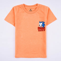 Kjunction Boys Half Sleeves-Printed T-Shirt (Hedge-Hog)