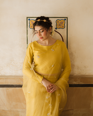 Purane Darwaze By Pashma Khan Stitched Formals Collection'2025-Bad-E-Naseem
