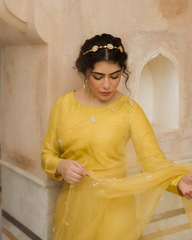 Purane Darwaze By Pashma Khan Stitched Formals Collection'2025-Bad-E-Naseem