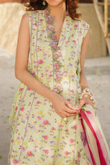 Meraki by Asifa N Nabeel Unstitched 3 Piece Lawn Collection'2024-Chints