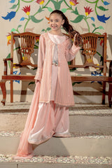 Chiffon Embroidered 3 Pc Suit - Wear Ochre
