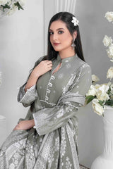 Afra by Tawakkal Unstitched 3 Piece Broshia Banarsi Lawn Collection'2023-A-9212