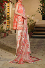 Meraki by Asifa N Nabeel Unstitched 3 Piece Lawn Collection'2024-Dahlia