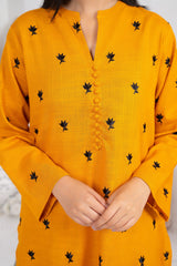 Tiraz Stitched 2 Piece Winter Suit-Zarine